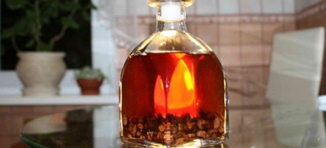 настойка на золотом корне настойка на золотом корне