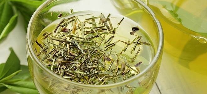 отвар зубровки отвар зубровки