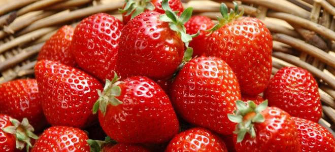 перекрестная пищевая аллергия перекрестная пищевая аллергия