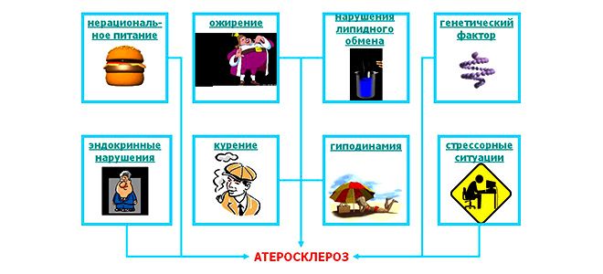 причины атеросклероза аорты причины атеросклероза аорты