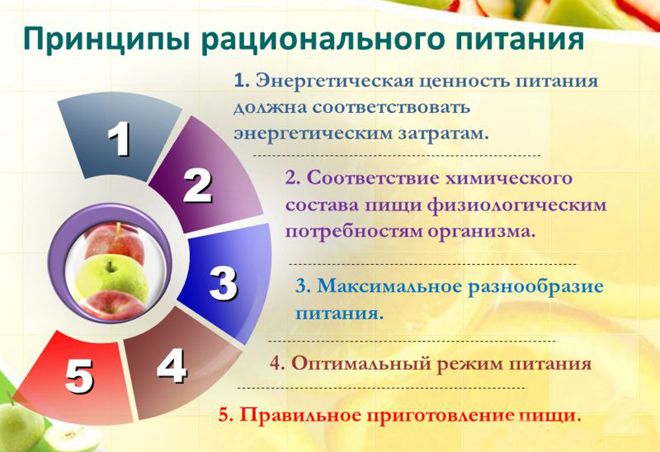 принципы питания принципы питания