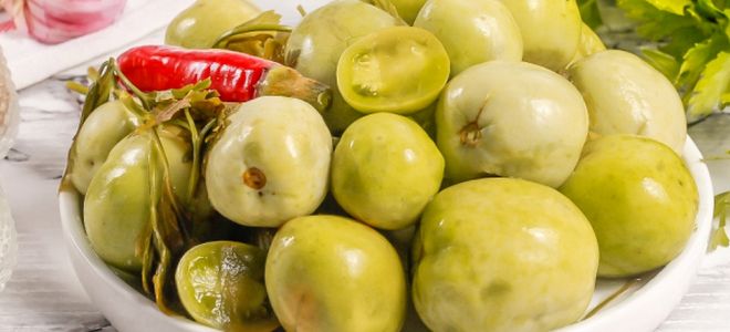 рецепт соленых зеленых помидоров рецепт соленых зеленых помидоров