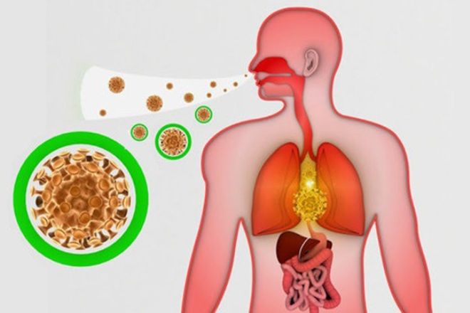 риновирус пути передачи риновирус пути передачи