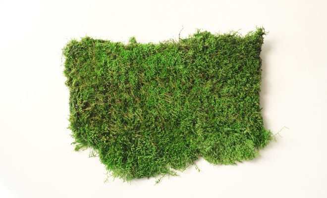 стабилизированного мха пластовый стабилизированного мха пластовый