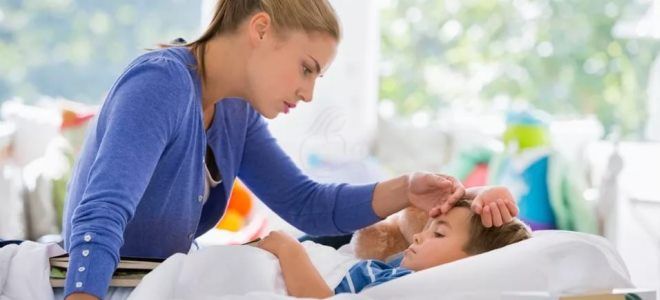 виферон дозировка виферон дозировка