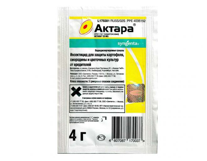 актара от паутинного клеща актара от паутинного клеща