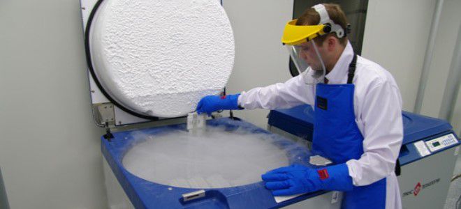 банк стволовых клеток банк стволовых клеток