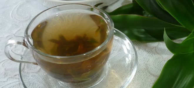 как использовать золотой ус в лечебных целях как использовать золотой ус в лечебных целях