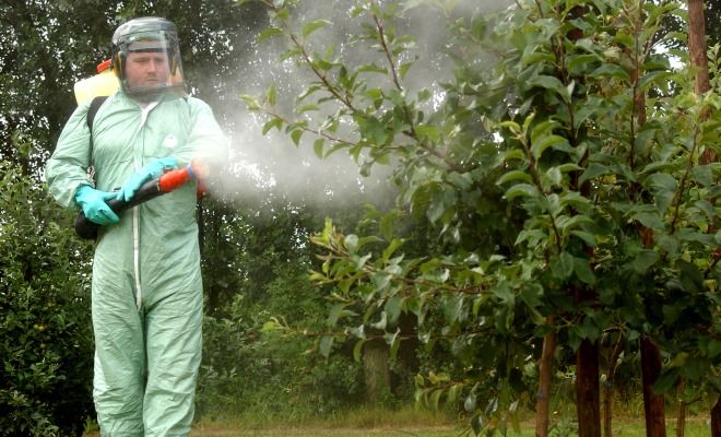 коллоидная сера вред для человека коллоидная сера вред для человека