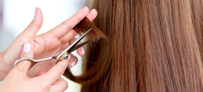 Лечение секущихся волос Лечение секущихся волос
