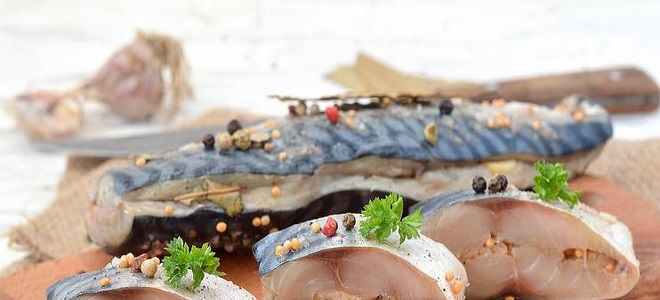 малосольная скумбрия с чесноком в морозилке малосольная скумбрия с чесноком в морозилке