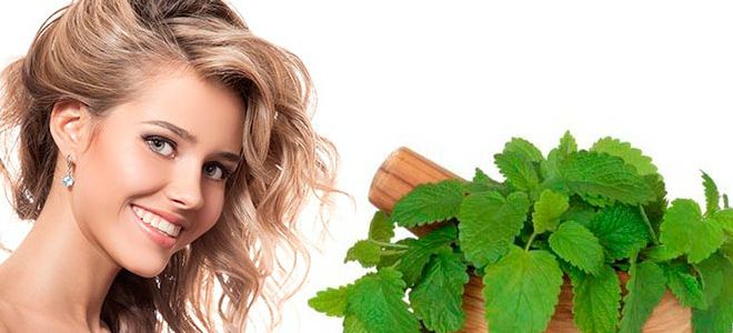 мелисса для волос мелисса для волос