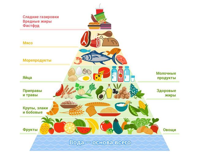 пирамида питания пирамида питания