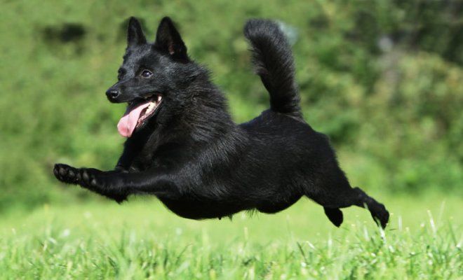 плюсы и минусы плюсы и минусы