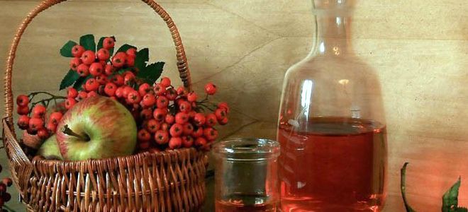 рябиновая настойка на самогоне рябиновая настойка на самогоне