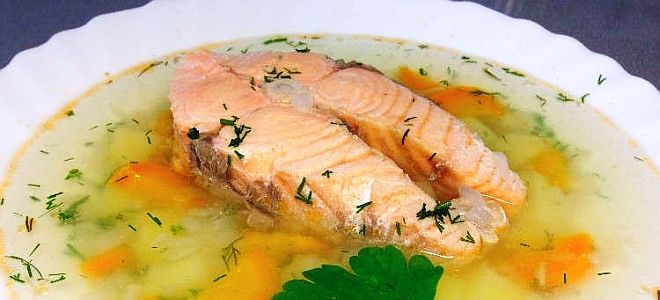 рыбный суп из форели рыбный суп из форели