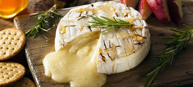 сыр камамбер запеченный в духовке сыр камамбер запеченный в духовке