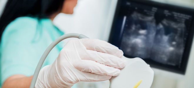 узи сердца при гипертрофии левого желудочка узи сердца при гипертрофии левого желудочка