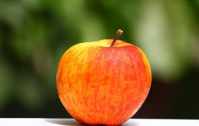 яблоня грушовка московская вкус яблоня грушовка московская вкус