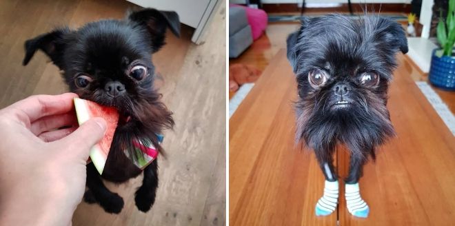 болезни болезни