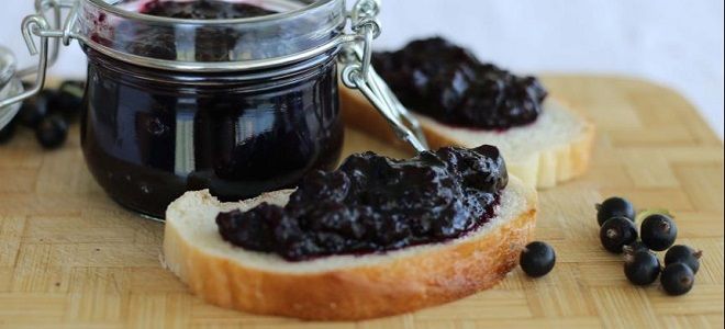 джем из черной смородины с пектином джем из черной смородины с пектином