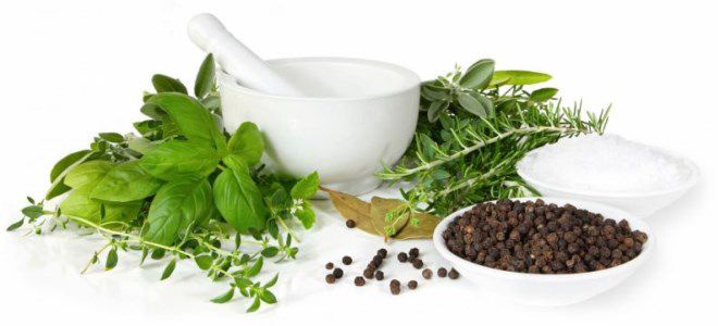 гастродуоденит лечение народными средствами гастродуоденит лечение народными средствами