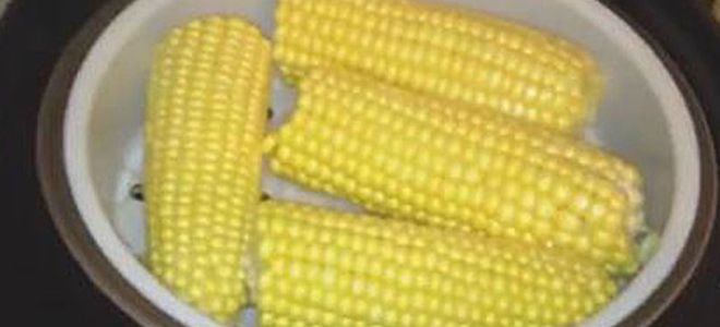 как варить кукурузу в мультиварке как варить кукурузу в мультиварке