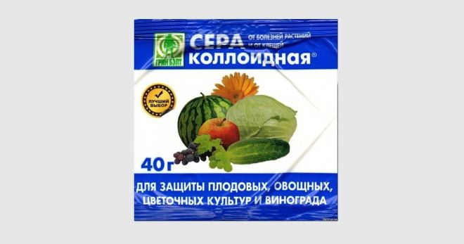 коллоидная сера против мучнистой росы коллоидная сера против мучнистой росы