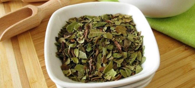 лавровый лист от отеков лавровый лист от отеков