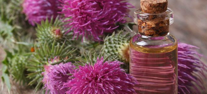 масло расторопши для лица масло расторопши для лица