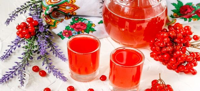 настойка из калины на водке настойка из калины на водке