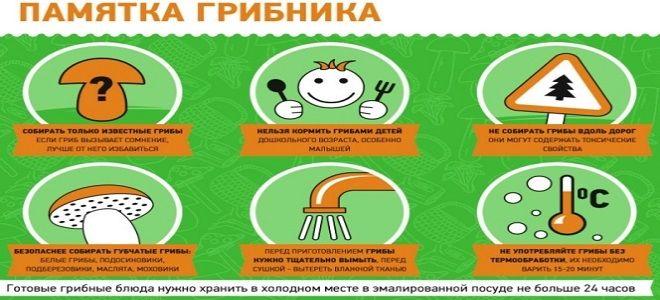 отравление ядовитыми грибами отравление ядовитыми грибами