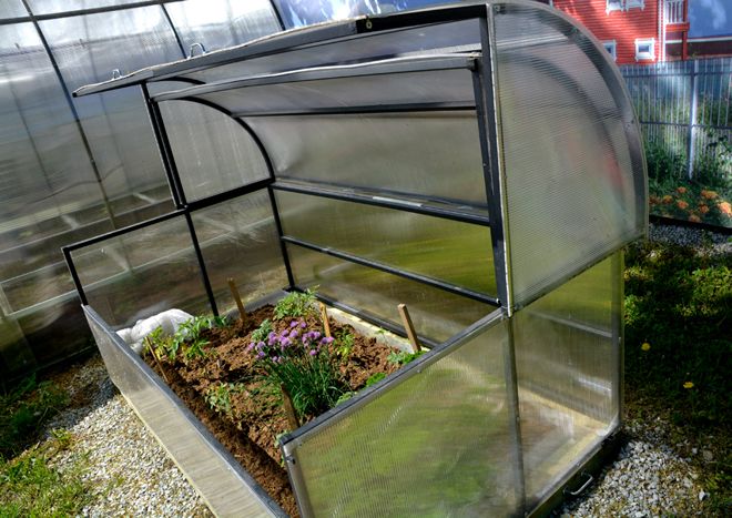 парник хлебница характеристики парник хлебница характеристики