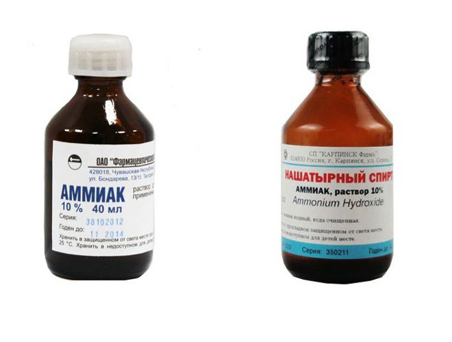 Подкормка клубники во время цветения нашатырным спиртом Подкормка клубники во время цветения нашатырным спиртом