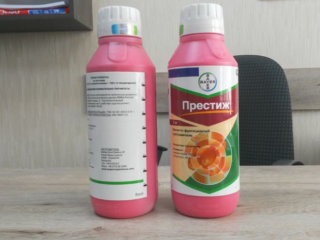 Престиж от колорадского жука Престиж от колорадского жука