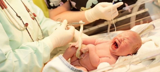 роды в 37 недель роды в 37 недель