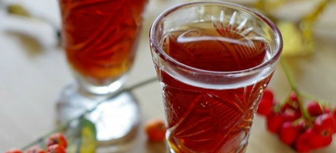 рябиновая настойка на коньяке рябиновая настойка на коньяке