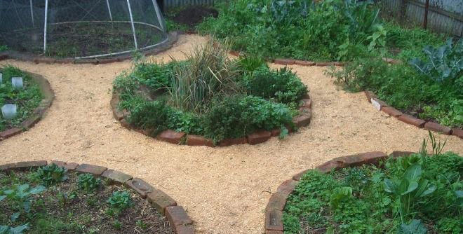 Свежие опилки на огороде польза или вред Свежие опилки на огороде польза или вред