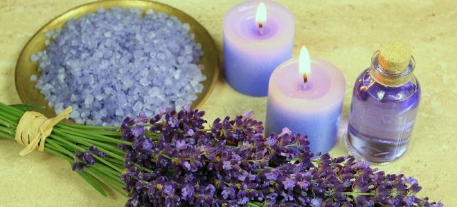 с лавандовым маслом с лавандовым маслом