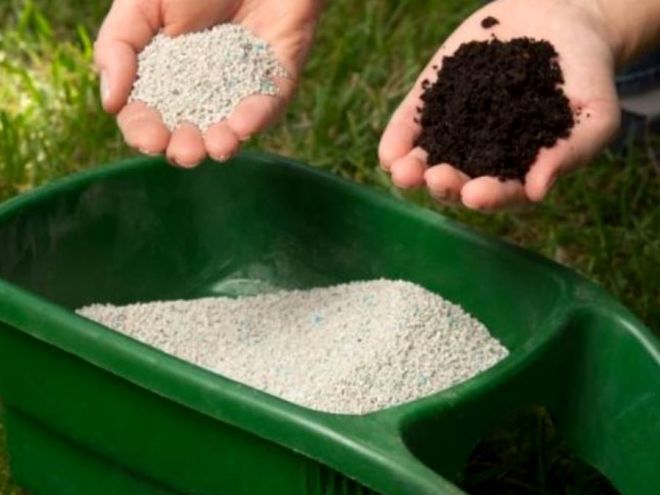 Чем удобрять морковь при посеве Чем удобрять морковь при посеве