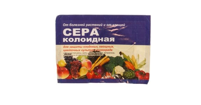 как хранить коллоидную серу как хранить коллоидную серу