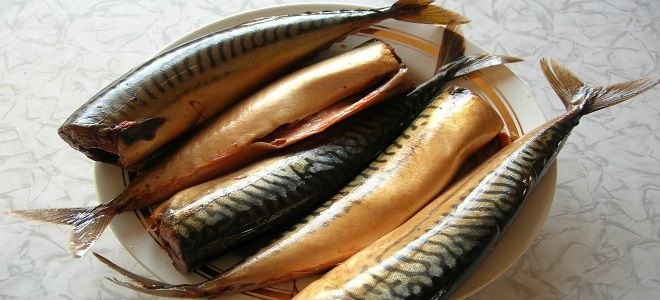 как посолить скумбрию в луковой шелухе как посолить скумбрию в луковой шелухе