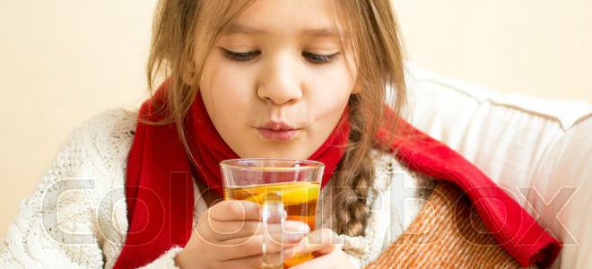 как правильно пить грудной сбор как правильно пить грудной сбор