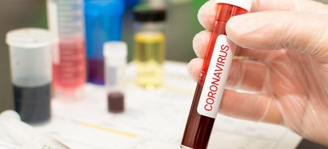 прививка от пневмонии и коронавирус прививка от пневмонии и коронавирус