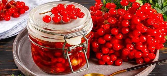 рецепт варенья из калины рецепт варенья из калины