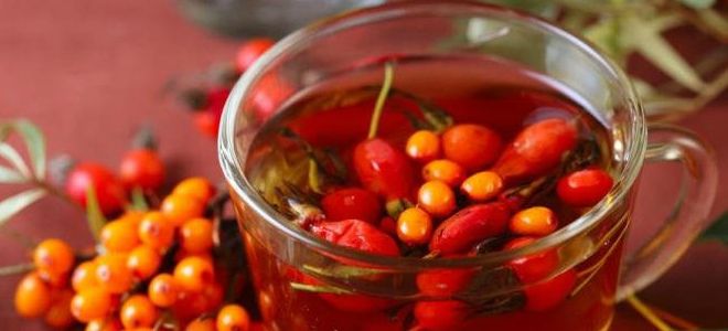 шиповник для желудка шиповник для желудка