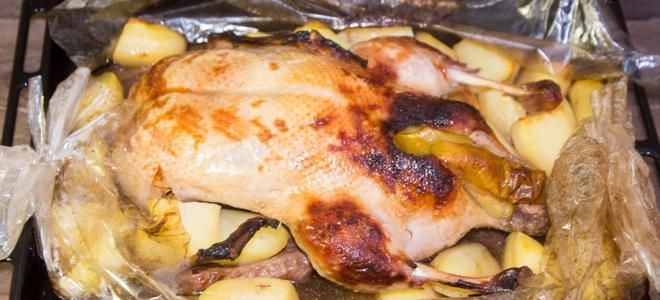 утка запеченная в духовке в рукаве утка запеченная в духовке в рукаве