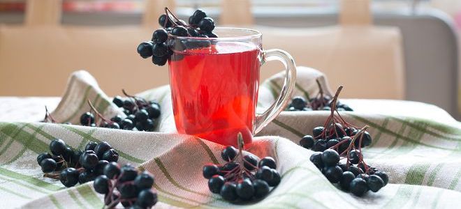 ягода черноплодка ягода черноплодка