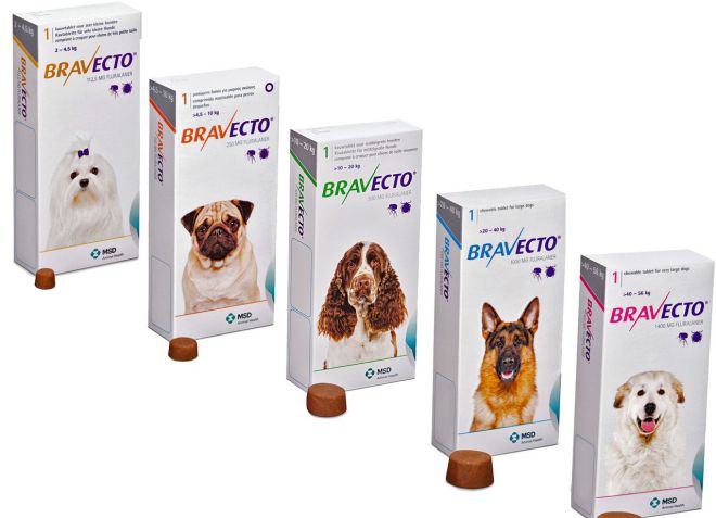 бравекто при демодекозе у собак бравекто при демодекозе у собак