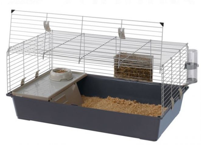 декоративный кролик рекс выбираем клетку декоративный кролик рекс выбираем клетку